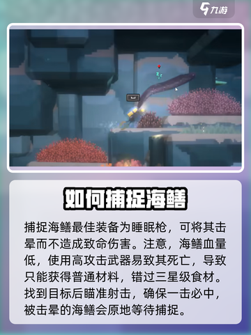 潜水员戴夫黄鳝抓捕🔥超简单攻略来啦！截图4
