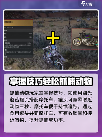 七日世界怎么抓动物介绍截图2