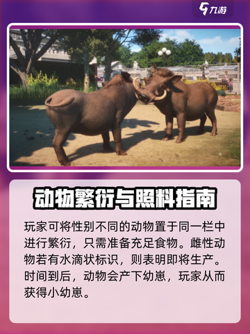 动物园之星杂交动物是怎么回事介绍截图4