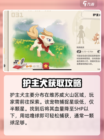 洛克王国手游护主犬怎么得介绍截图2