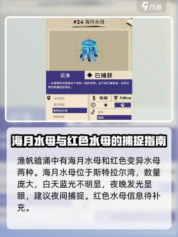 渔帆暗涌水母怎么抓介绍截图2