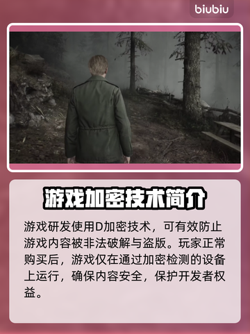 寂静岭2重制版🔥D加密技术详解来了！截图2