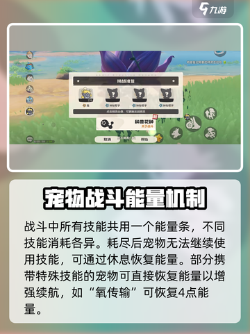洛克王国世界团体战怎么玩介绍截图3