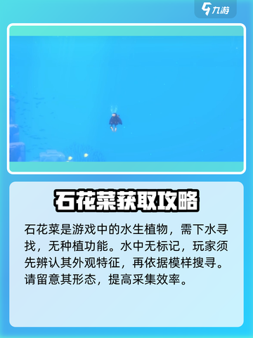 潜水员戴夫石花菜在哪介绍截图2