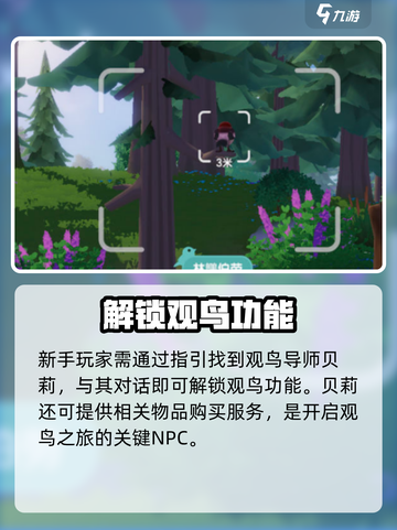 心动小镇观鸟秘籍！🐦速看截图2