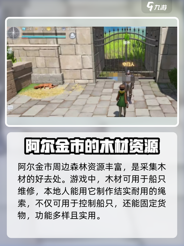 大航海时代传说💡阿尔金市玩法全揭秘！截图4