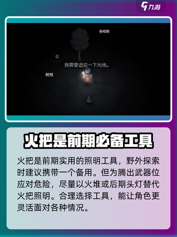 饥荒新家园🔥火把制作方法大揭秘！截图4