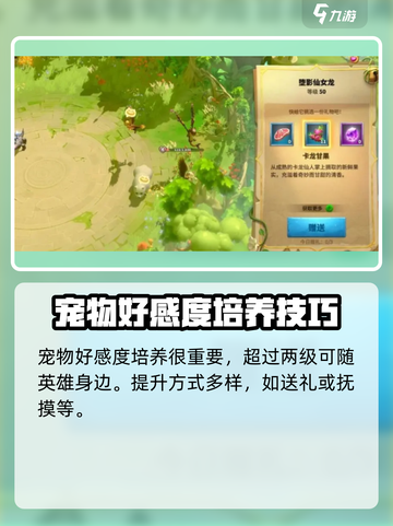 万龙觉醒🔥宠物放生玩法大揭秘！游戏党必看截图3