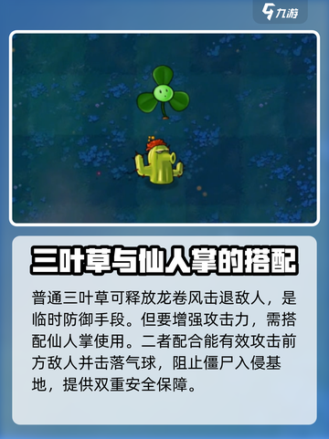 植物大战僵尸杂交版三叶草怎么样介绍截图2