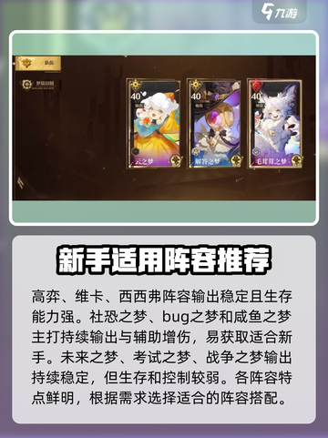 无尽梦回💥新手必看！阵容搭配全攻略🔥截图2