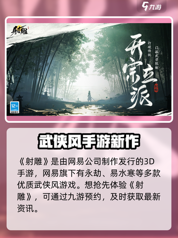 射雕手游是哪个公司开发的介绍截图2