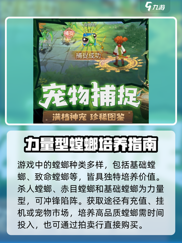 魔力宝贝复兴🔥首充螳螂必选攻略💎截图2