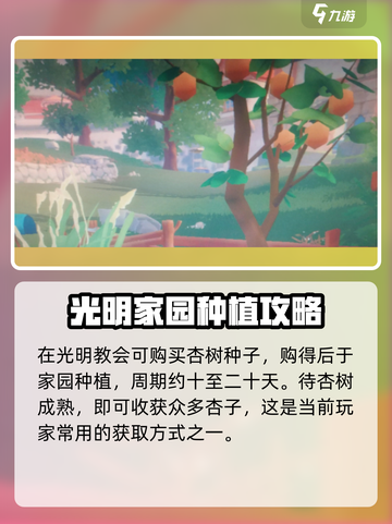 波西亚时光杏子怎么获得介绍截图3