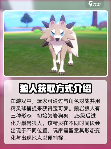 宝可梦大集结🔥狼人获取秘籍🎉游戏党必看！截图2