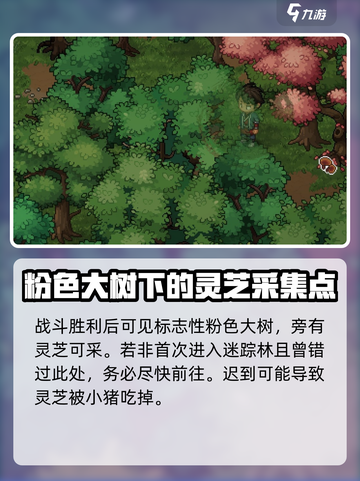 大侠立志传🔥迷踪林灵芝位置全揭秘！截图3