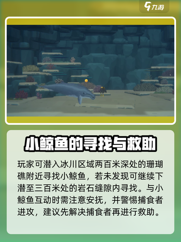 潜水员戴夫小鲸鱼在哪介绍截图3