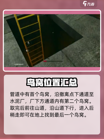 三角洲行动鸟能躲就躲！鸟窝位置全曝光🔥截图5