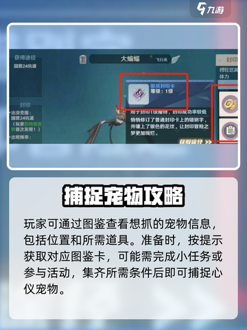 魔力宝贝复兴版💥抓宠必备道具大揭秘！宠物{_}截图2