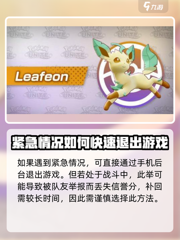 宝可梦大集结怎么退出游戏介绍截图4