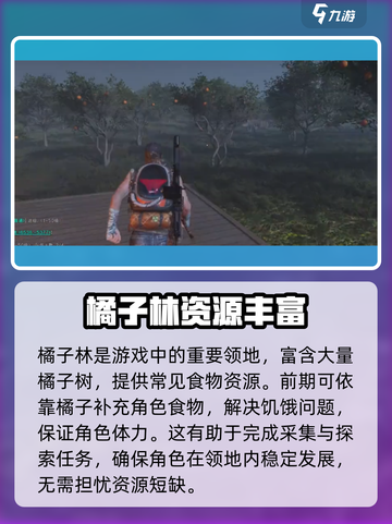 七日世界领地如何挑选介绍截图4