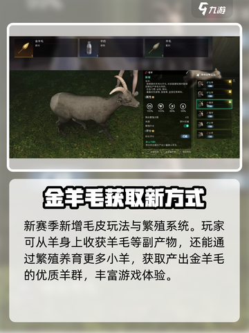七日世界🔥金羊毛获取秘籍💡玩家必看！截图3