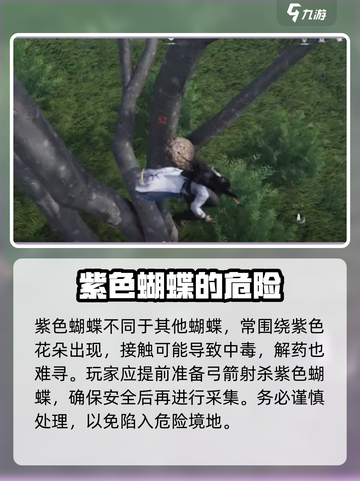 燕云十六声🔥抓蝴蝶全攻略🦋截图3