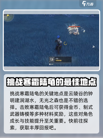 鸣潮🔥寒霜陆龟异相位置大曝光！📍快速获取攻略截图4