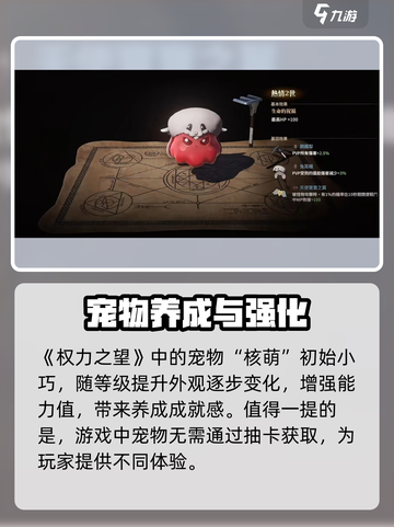 权力之望宠物玩法🔥超全攻略等你来探索！🎮截图2