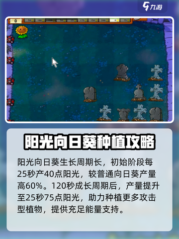 植物大战僵尸之阳光向日葵🔥超好玩/Game必备🌱截图2