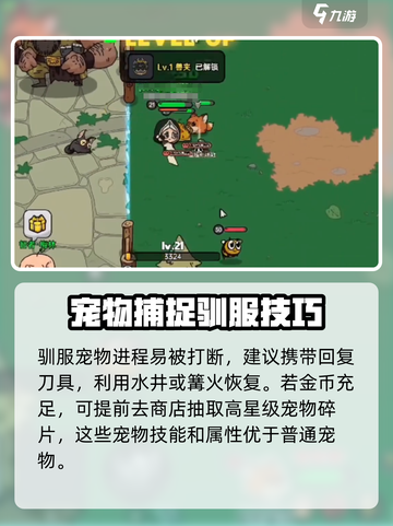 英勇之地🔥抓宠+召唤双重秘籍💎截图4