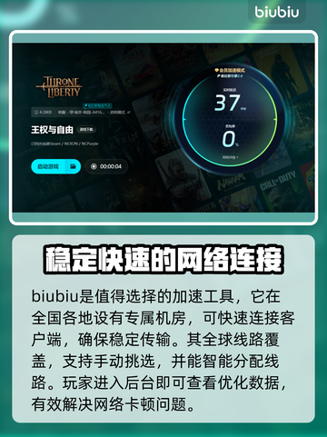 王权与自由延迟高？❌解决方法来了！🔥截图3