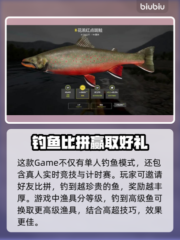 俄罗斯钓鱼4延迟高？❌教你轻松解决🔥截图5