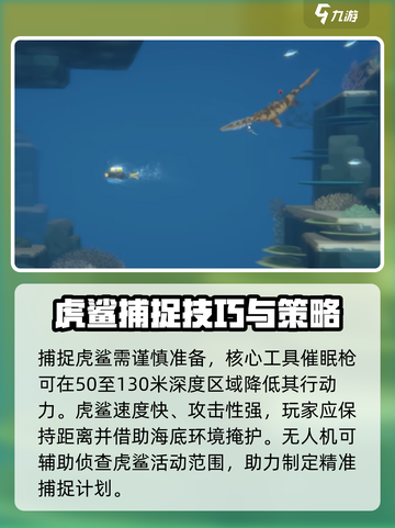 潜水员戴夫虎鲨在哪介绍截图4