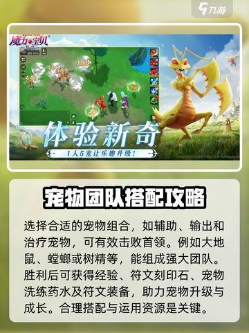 魔力宝贝复兴版🔥宠物升星攻略✨助你战力飙升！截图4