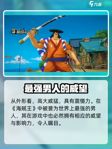 航海王壮志雄心白胡子怎么样介绍截图2