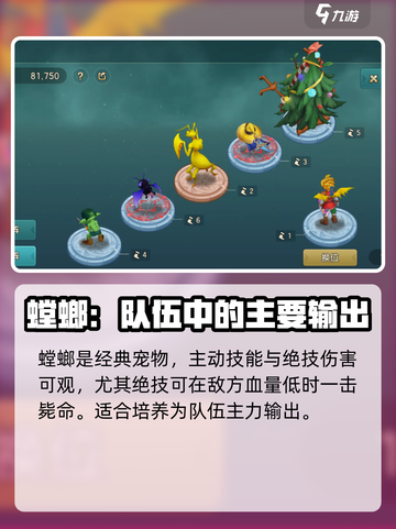 魔力宝贝复兴版🔥宠物选择推荐来啦！截图3
