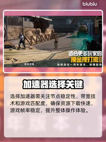 🎮和平精英PC模拟器加速器大揭秘！截图2