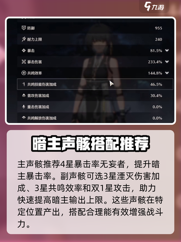 鸣潮暗主声骸怎么选介绍截图2