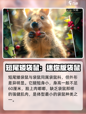 野兽领主新世界短尾矮袋鼠怎么样介绍截图2
