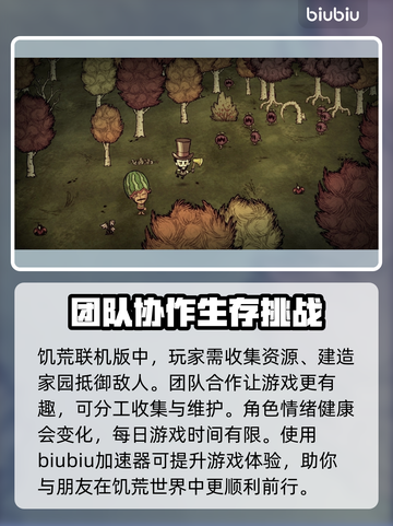 饥荒联机版🔥加速器安装地址分享🎉截图2