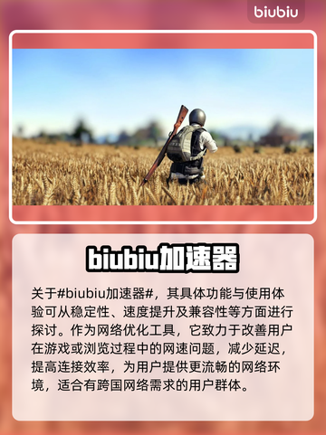 PUBG下载加速神器🔥不卡顿吃鸡必备！截图2