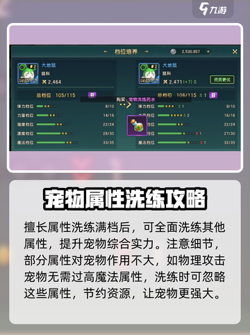魔力宝贝复兴版🔥宠物洗练攻略，快速提升战力！截图4