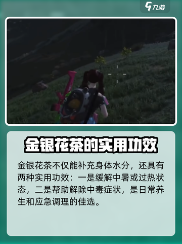 七日世界🔥金银花位置大揭秘！快来看👇截图3