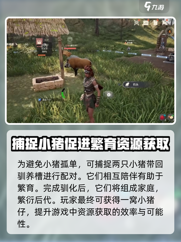 荒野起源养猪怎么养介绍截图5