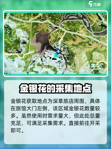 七日世界金银花在哪里介绍截图2