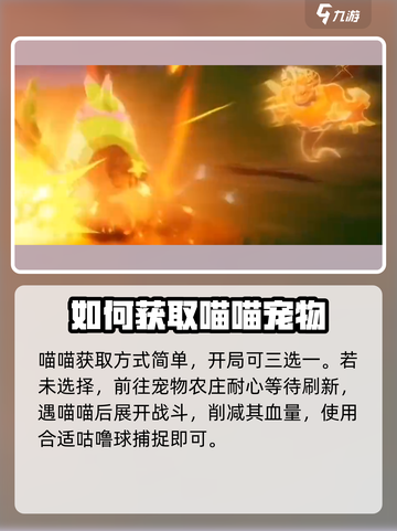 洛克王国手游喵喵怎么样介绍截图5