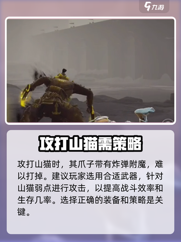 暗影格斗3山猫打法攻略介绍截图4