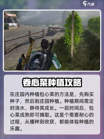 七日世界包心菜如何获取介绍截图3