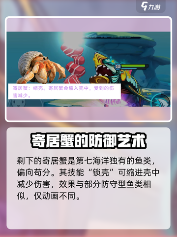 鱼吃鱼游戏第七海洋🔥领海全揭秘！🐟截图8