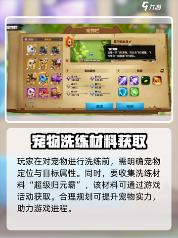 万龙觉醒🔥宠物洗练终极攻略✨助你战力飙升！截图2